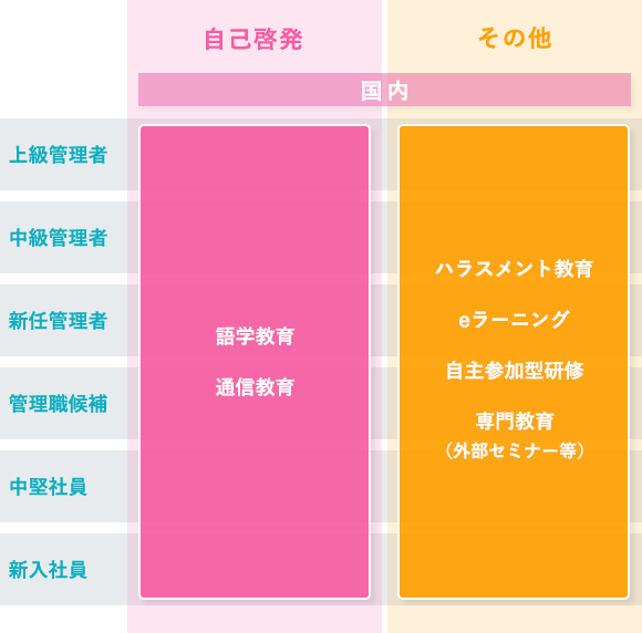 研修制度図